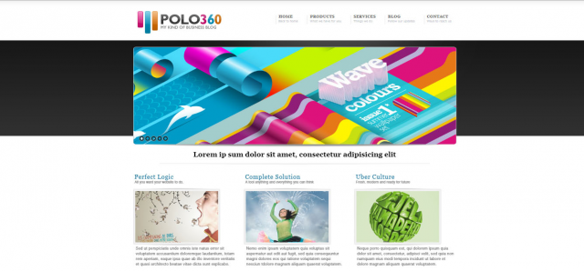 Polo