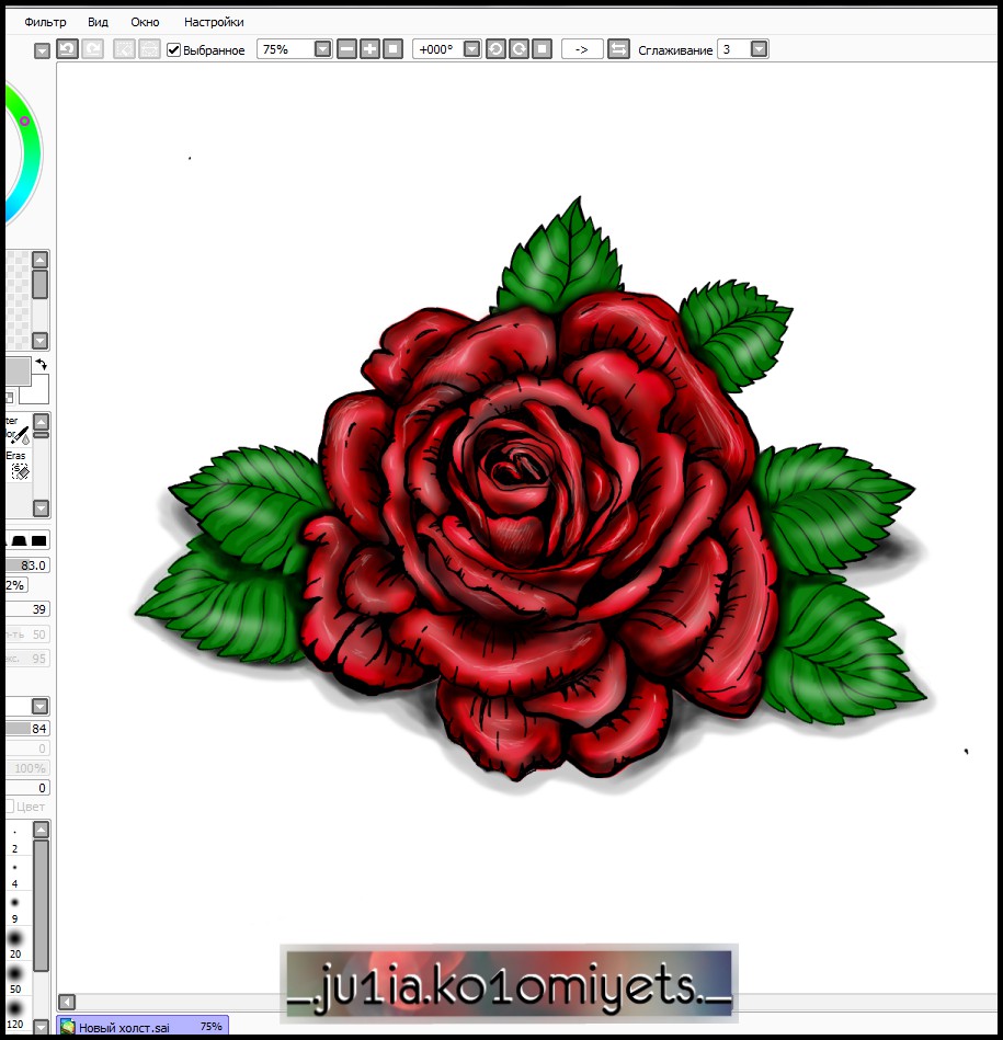 pic3813340.jpg
