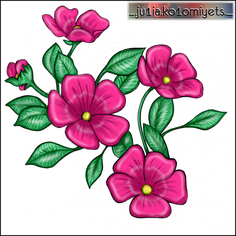 flowers