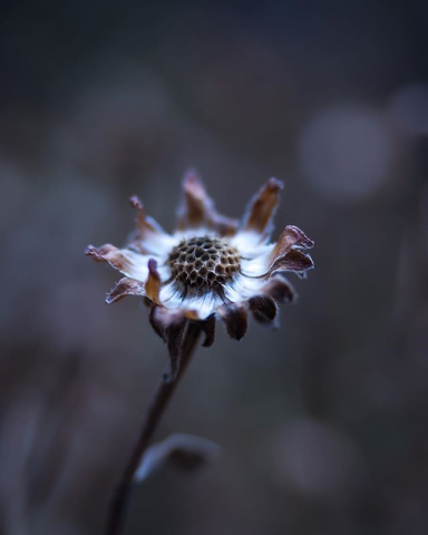 Время пришло