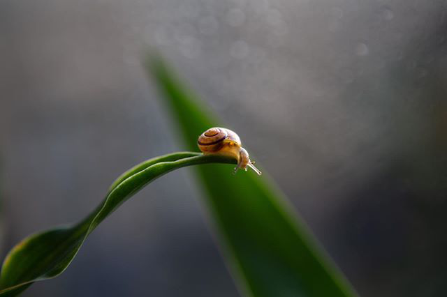 Дом рядом(2)