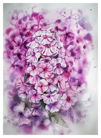 Картина Флоксы