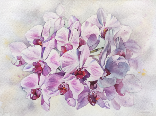 Картина акварелью Орхидея на свету