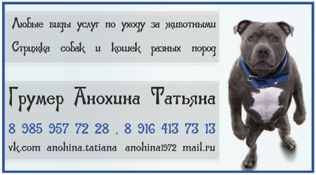 Работа 3156709