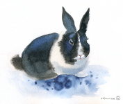 Работа 2948494