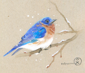 Работа 2948492