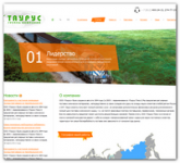 Верстка проекта «TAURUS»                               