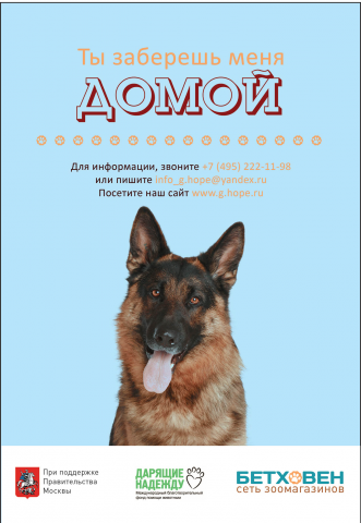 Плакат для сети "Бетховен"