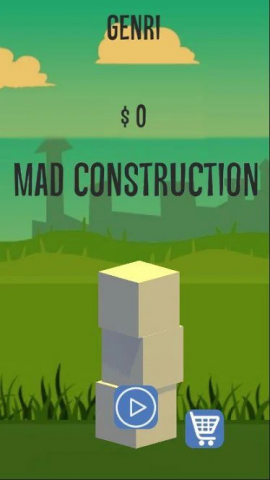 Mad Construction