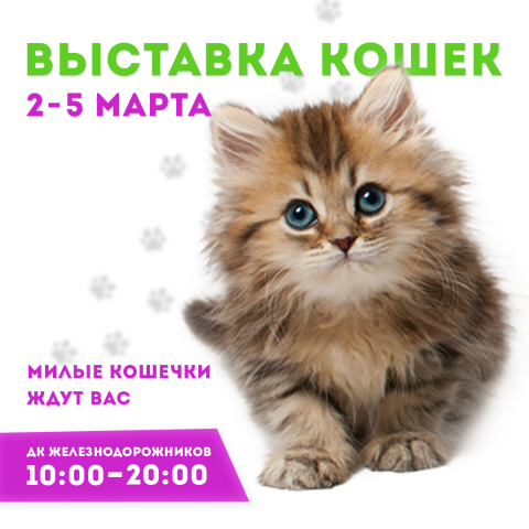 Работа 3807942