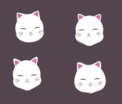 Котики