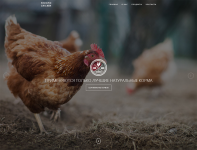 САЙТ ЭКОФЕРМЫ SOSNOVKACHICKEN