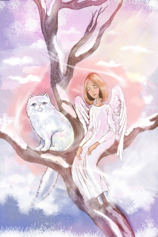 Кошачий ангел