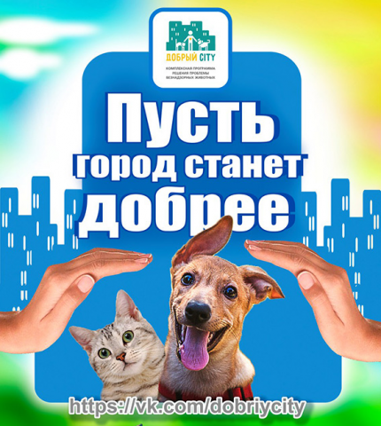 Работа 3554233
