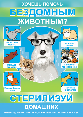 Работа 3554181