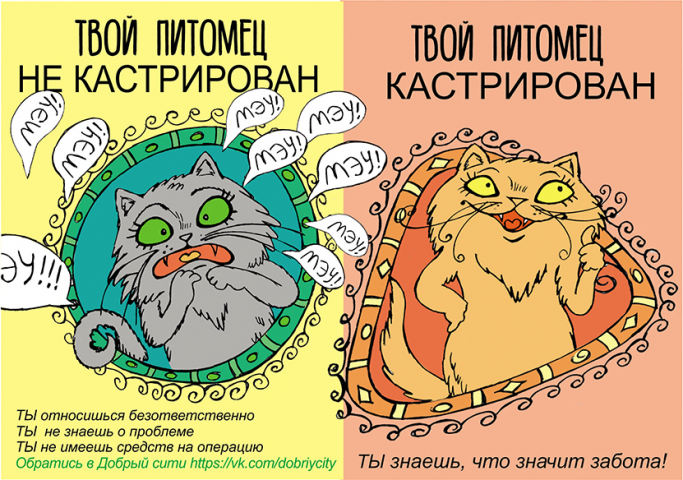 Листовка Добрый сити (горизонт)