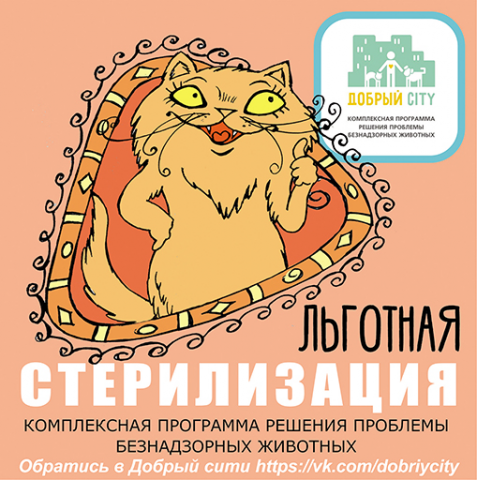 Листовка Добрый сити