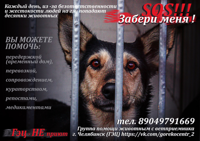 Работа 3418302