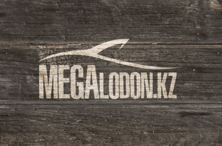 Megalodon.kz- финансовые услуги