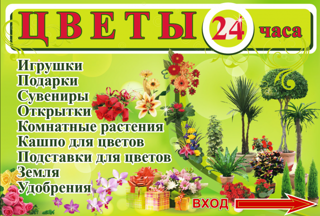 Работа 3165067