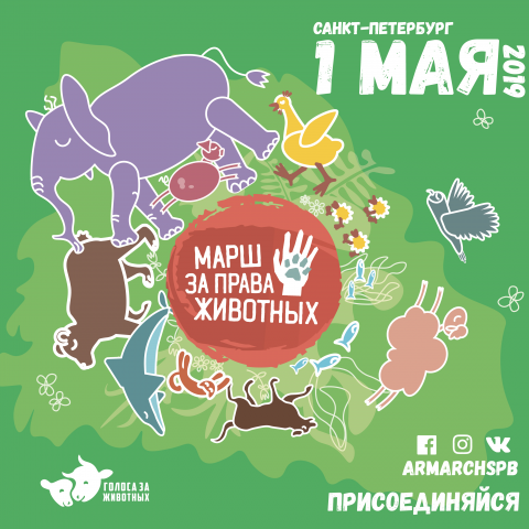 Веб афиша марша
