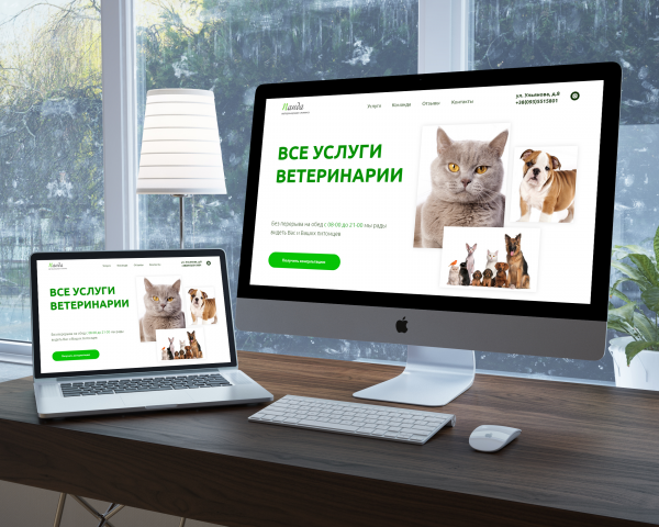 Landing page для вет.клиники "Панда"