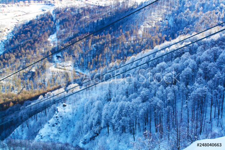 Работа 3791167