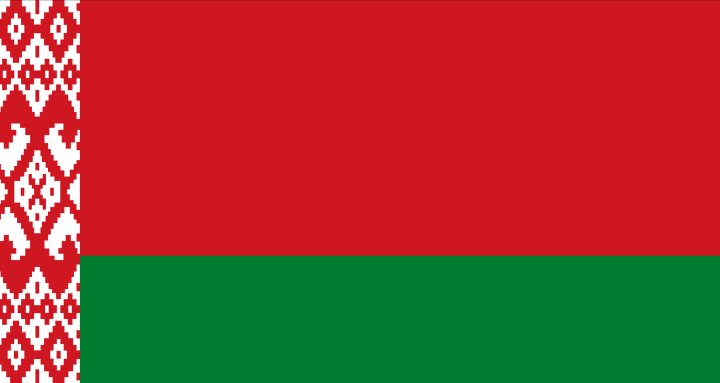 Смогу перевести на белорусский или с него