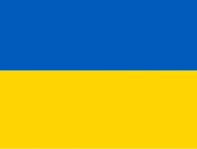 Могу перевести на украинский или с него