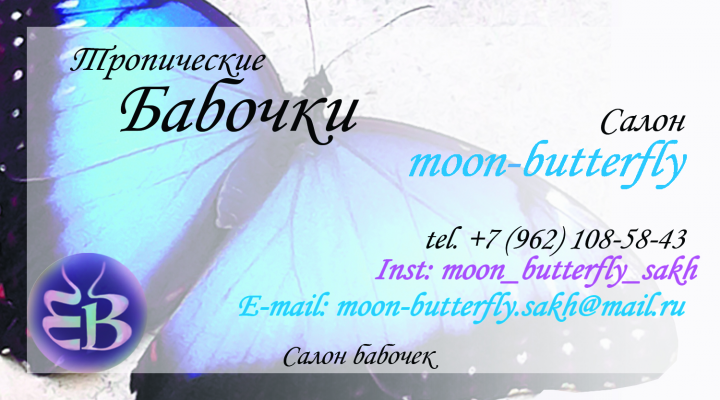 Визитка "moon-butterfly"