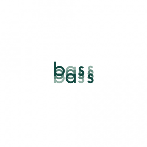 BASS MUSIC FEST