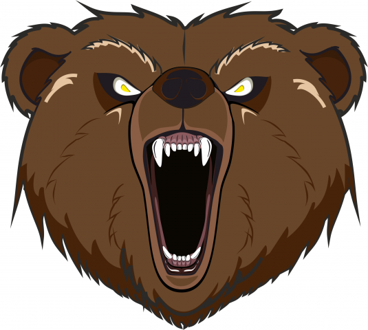 AngryBear