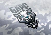 логотип для игрового отряда БАРС