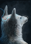 Blue and red soul