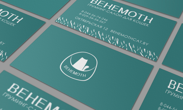 Корпоративаная визитка