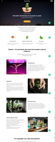 Совершенствование таможенного регулирования: азиатский вектор.