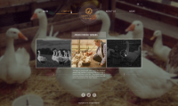Многостраничник happygoose.genttech.com - верстка, Wordpress