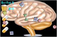 Доктор убей баццилу