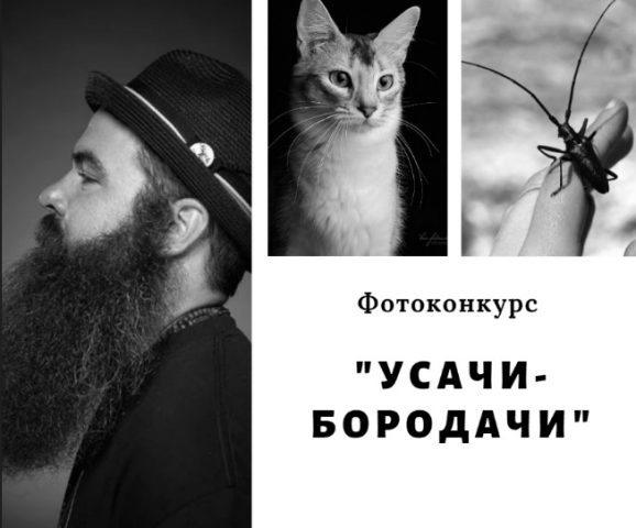 Афиша для конкурса
