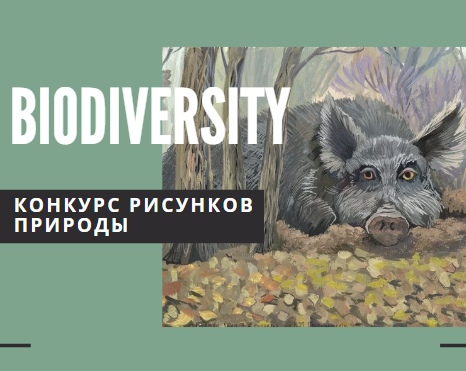 Афиша для конкурса
