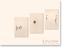 Флаер турфирмы по экстремальному туризму Pacer