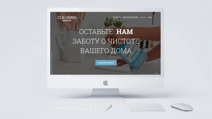 Cleaning Moscow