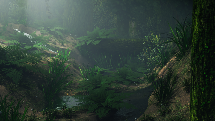 The Forest