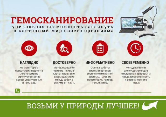 Флаер А6