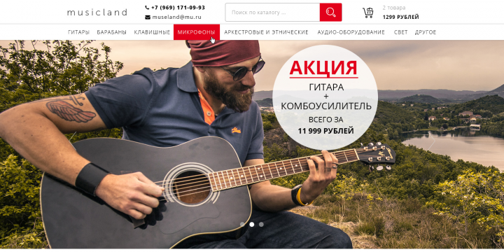 Магазин музыкальных инструментов "Musicland"
