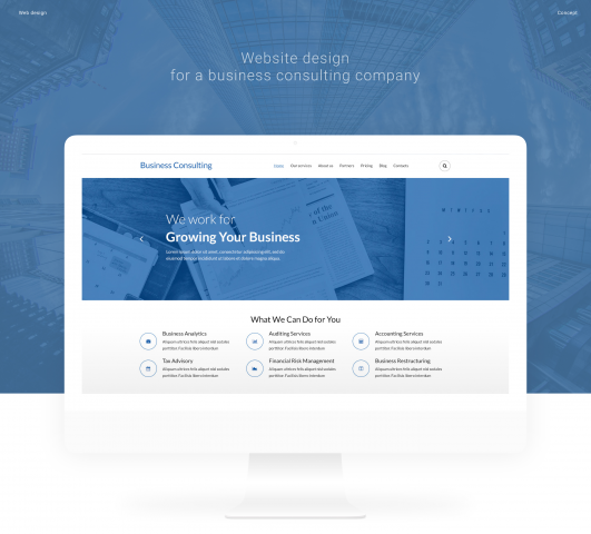 Бизнес консалтинг