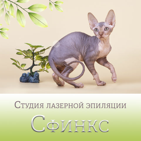 Рекламный баннер