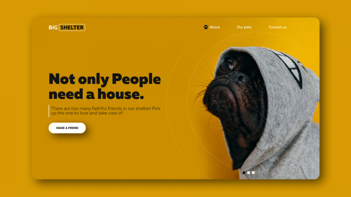 Приют для собак