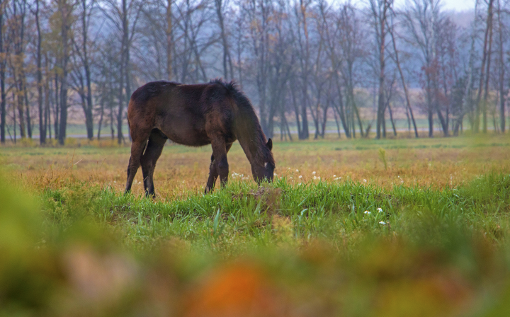 Работа 3783373