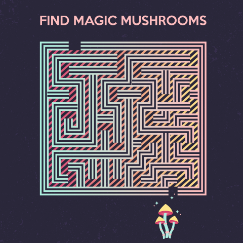 Maze